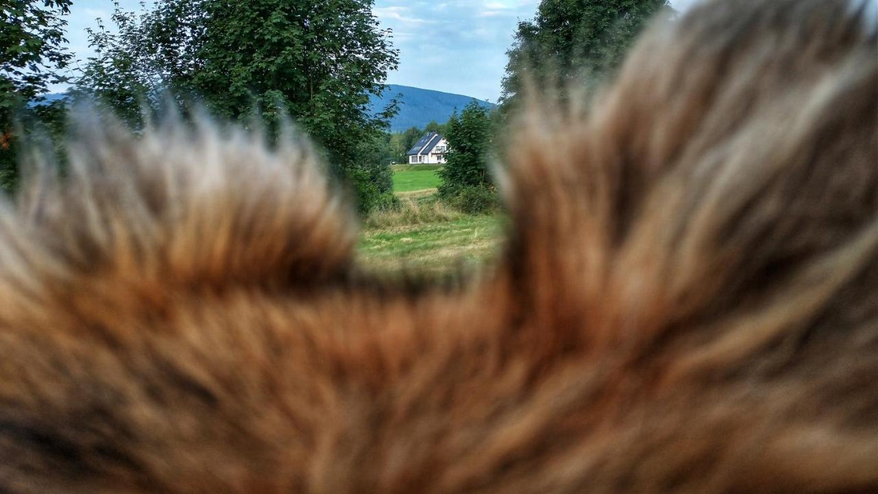 Rezydencja Ostoja Stronie Śląskie Extérieur photo