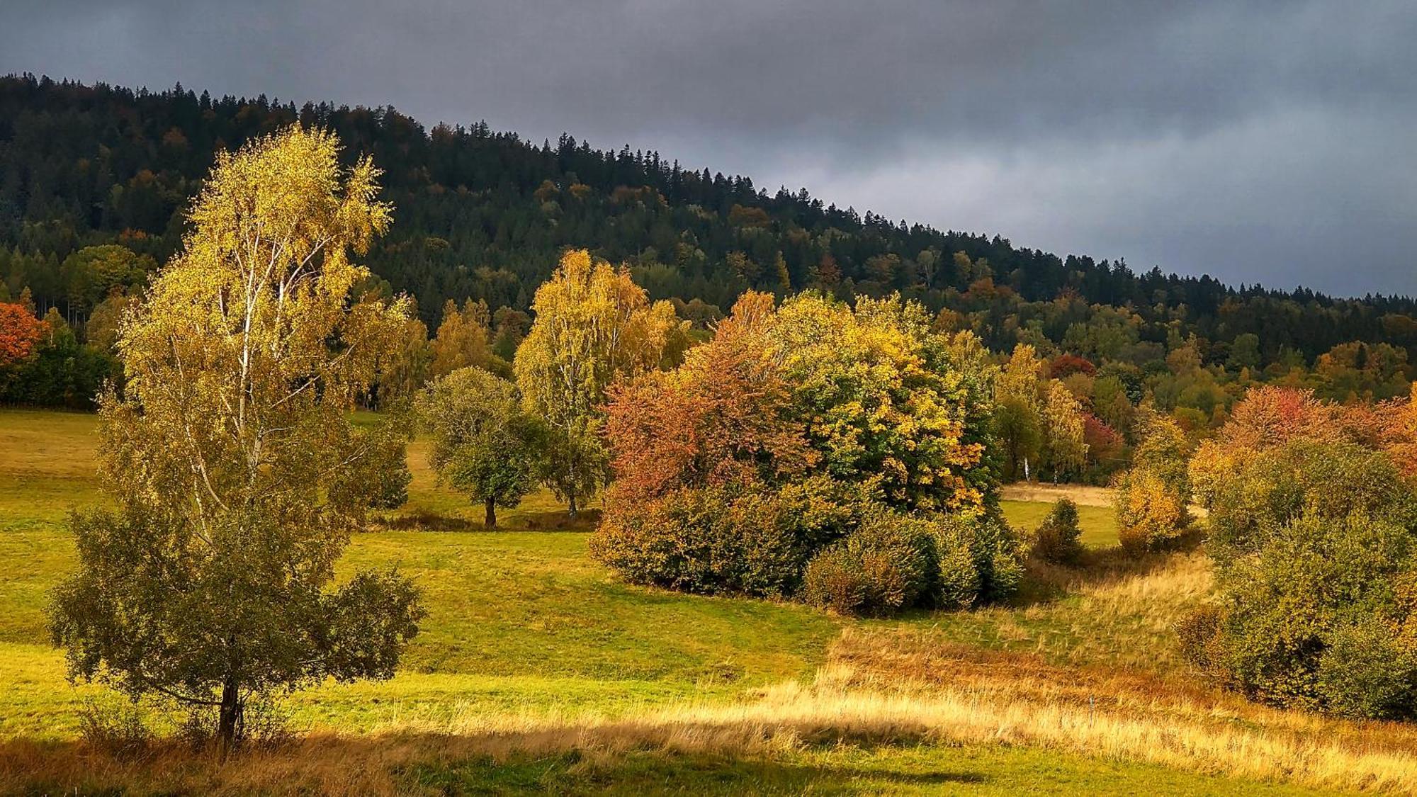 Rezydencja Ostoja Stronie Śląskie Extérieur photo