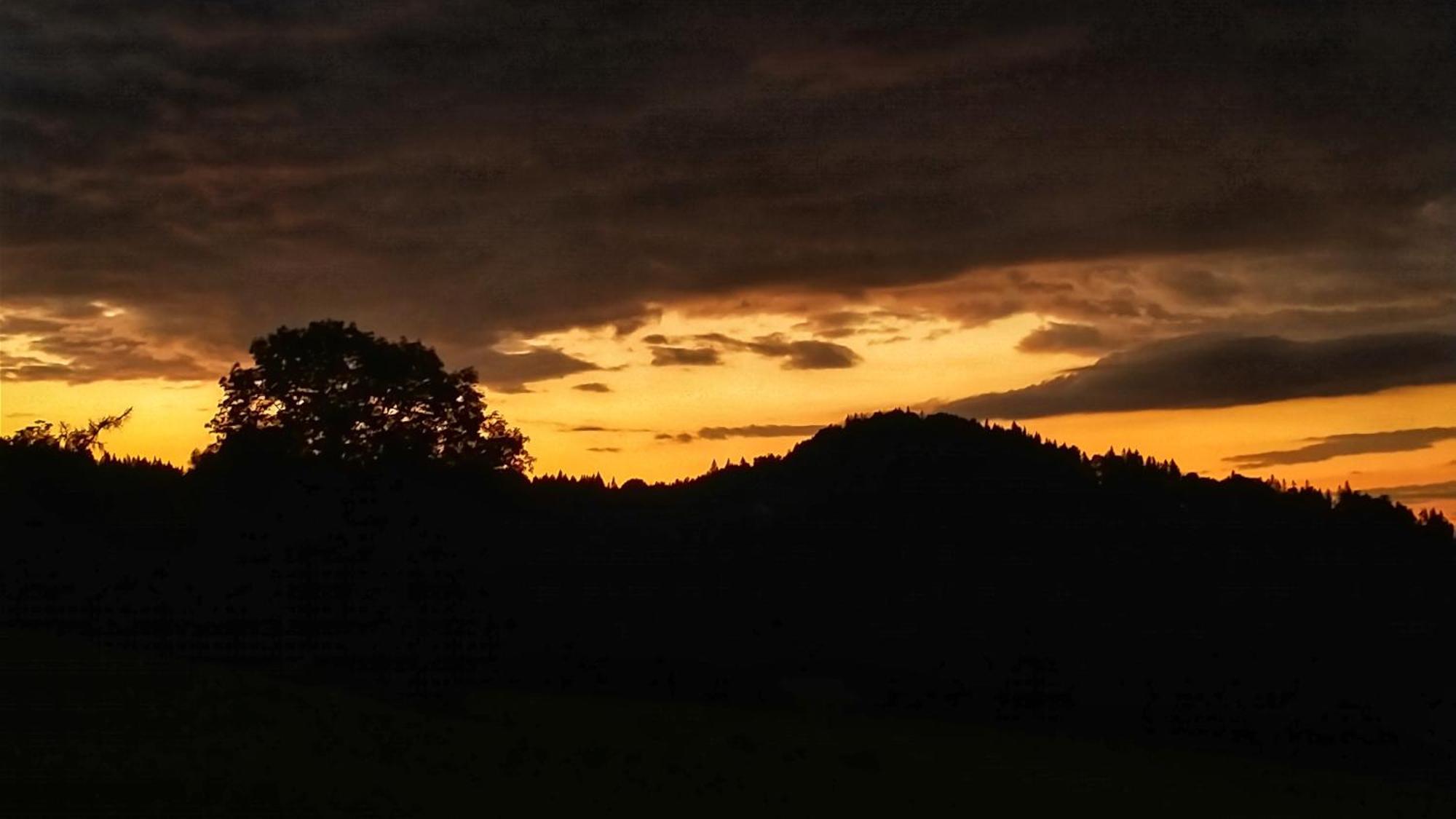 Rezydencja Ostoja Stronie Śląskie Extérieur photo